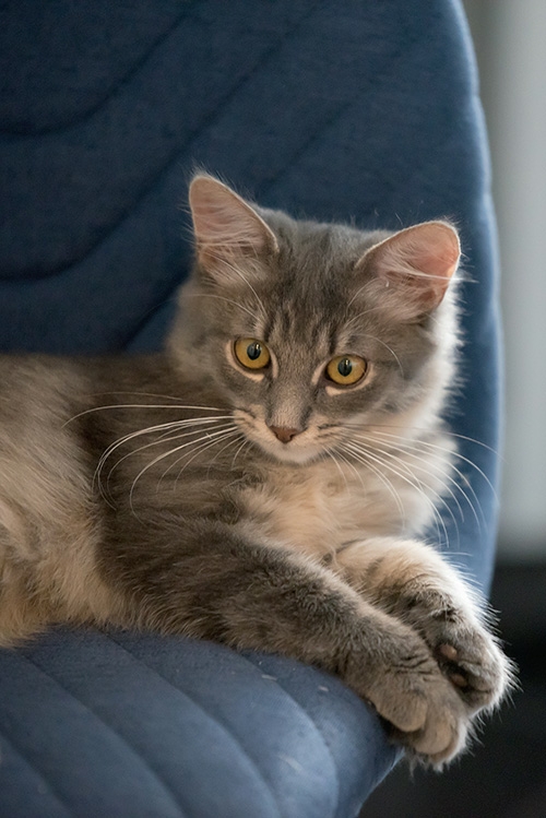 IMG-6ab3de71615657f72a92aa3388fd52f4-V