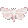 bug pixel