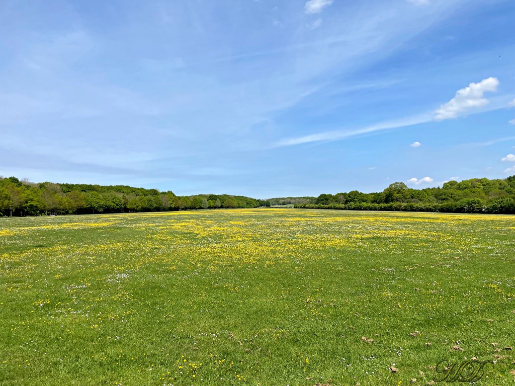 Park-HD.jpg