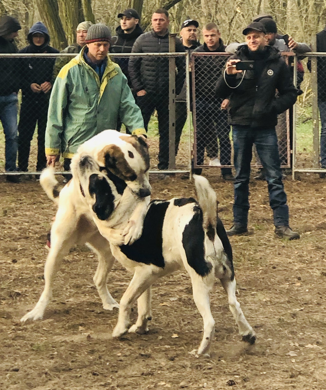 0F35B04F-AA98-40C7-A3F3-E26EF9F99AAB