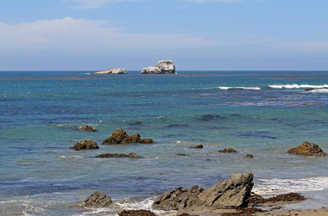 Día Cinco: San Simeón-Hearst Castle-Big Sur-Carmel-S. Francisco - My West USA road trip: un viaje de película. (9)