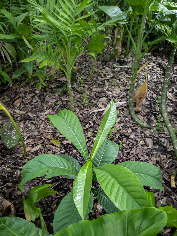 8B7A8971-6D42-44E5-A73F-B6A82163CC56