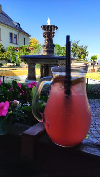 Castillo Zbiroh-21-9-2025 - República Checa y sus pueblos-2025 (37)