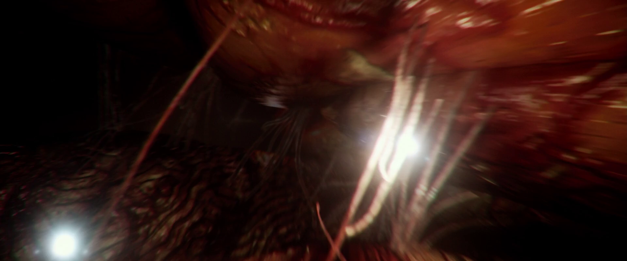 vlcsnap-2024-03-04-11h26m22s791