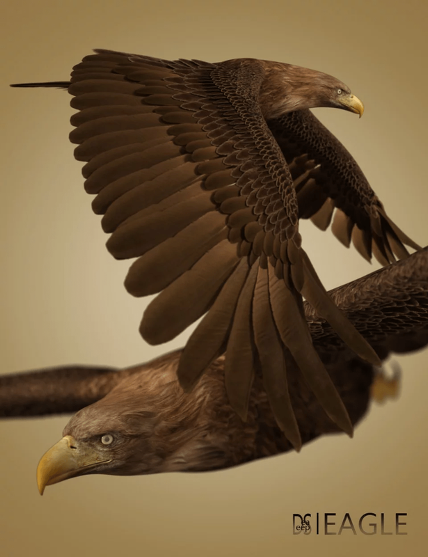 Deepsea's Eagle Aniblocks and Texture Add-On Deepsea's Eagle Aniblocks and Texture Add-On