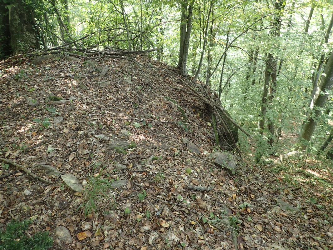 RUTIZAM SRBIJA - DragoševacJerinin grad (jagodinski) (4)