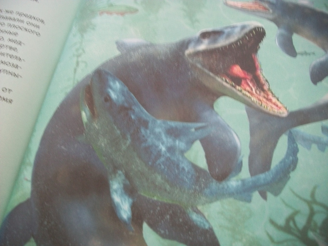 100_7789