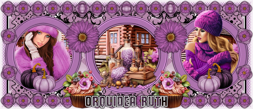 Muffin alla Zucca orquidearuth