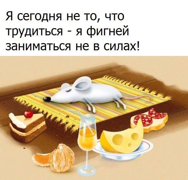 Мышь!