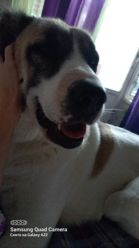 770502A6-AA73-43E5-BFD6-8A431B48D350