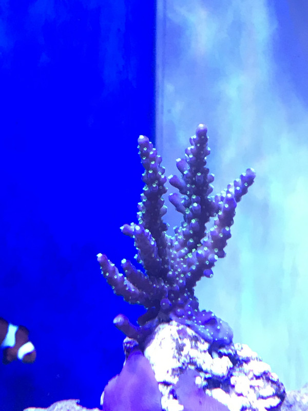 CA63233E-80DC-4688-8391-C64E90CA26A0