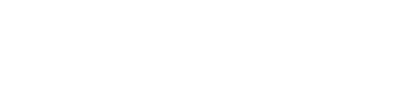 Соло