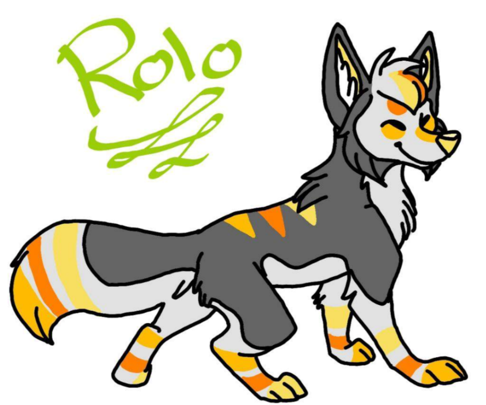 (c) Lunar Eclipse 290295