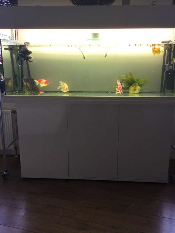 0CDACA3D-2BFC-4A4F-AEEF-4F8D949CEF2E