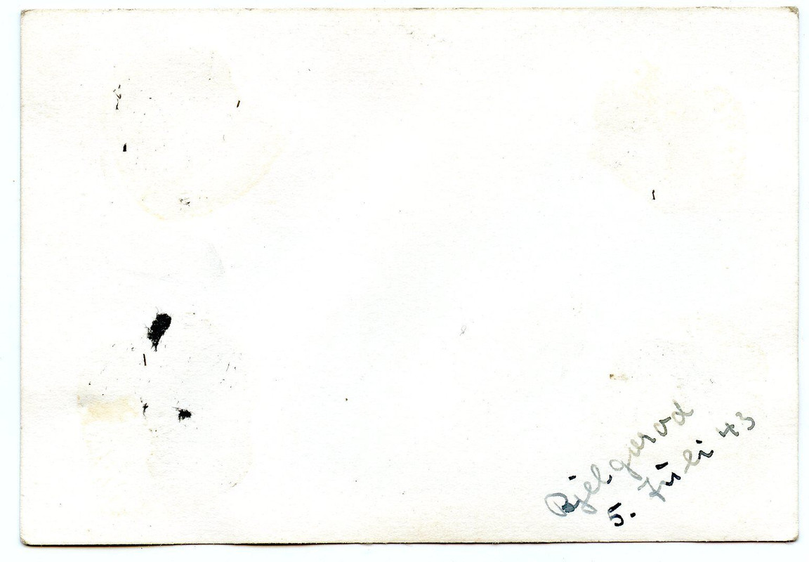 S2 Foto 2 schwere Panzer Tiger PzKpfw VI von der 3 Pz. T-Div Bjelgorod Sommer 43(4)