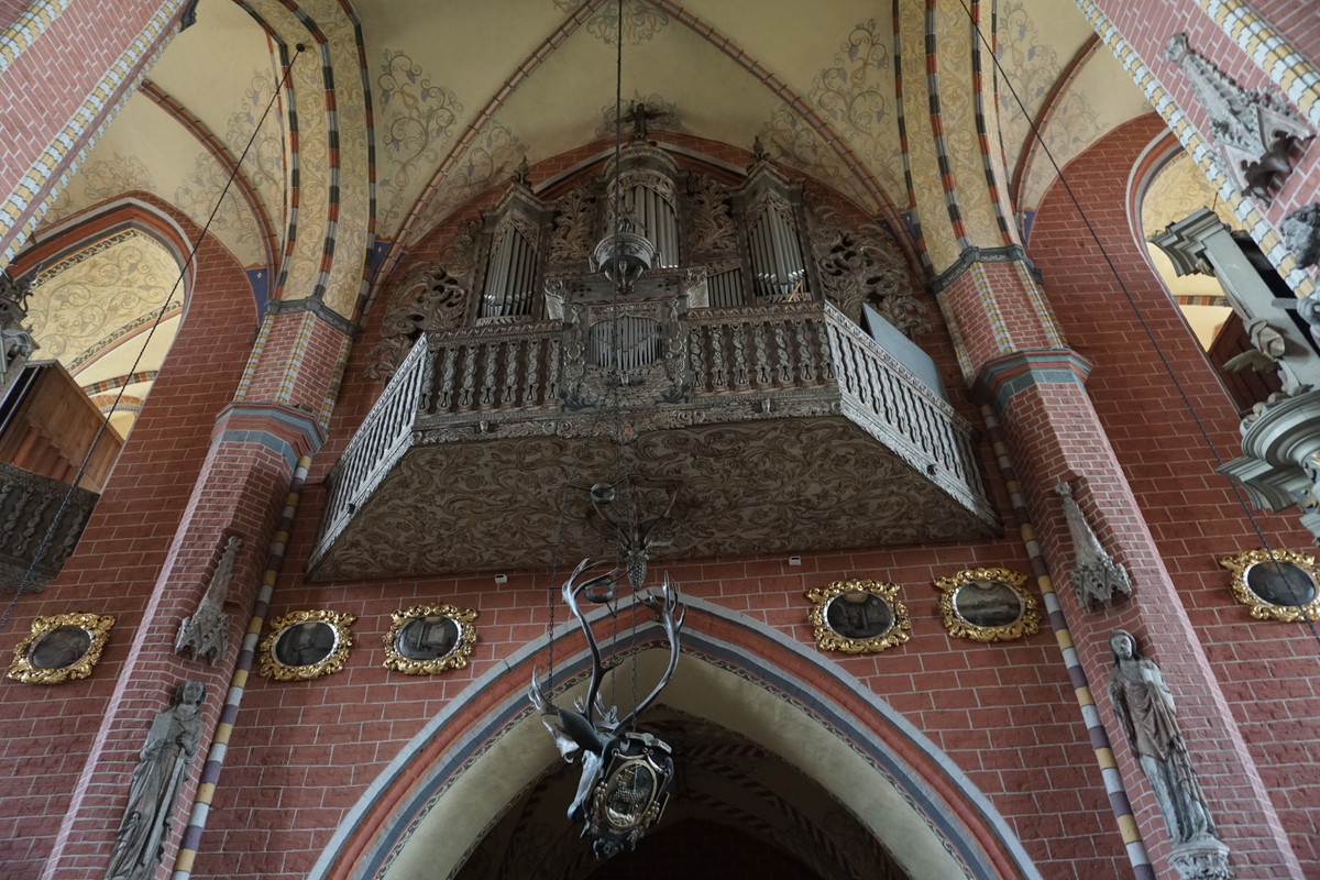 20.34 - DSC08120 (zbychowiec)