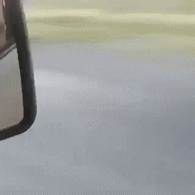 daily-gifdump-3339-09.gif