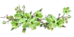 0-f2aaf-9473240b-S