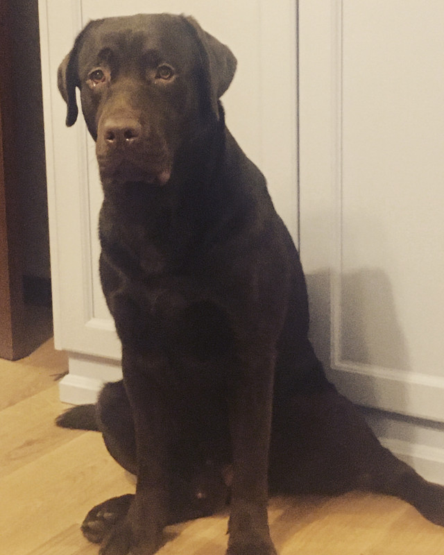 D15B4D94-2A42-40F3-BD85-8F205DF25057