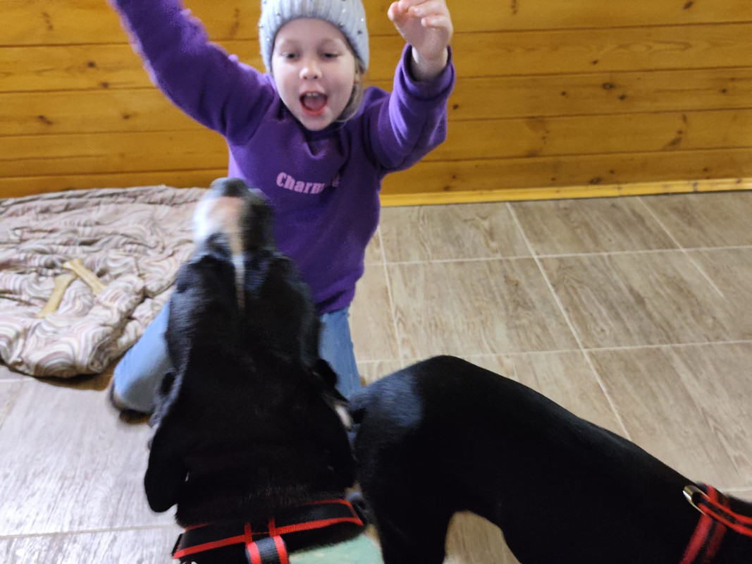 4DAE616A-7047-4EB8-8489-B75A01EDEE76