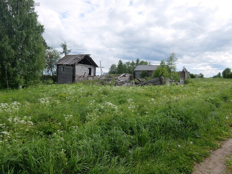 DSCF7418