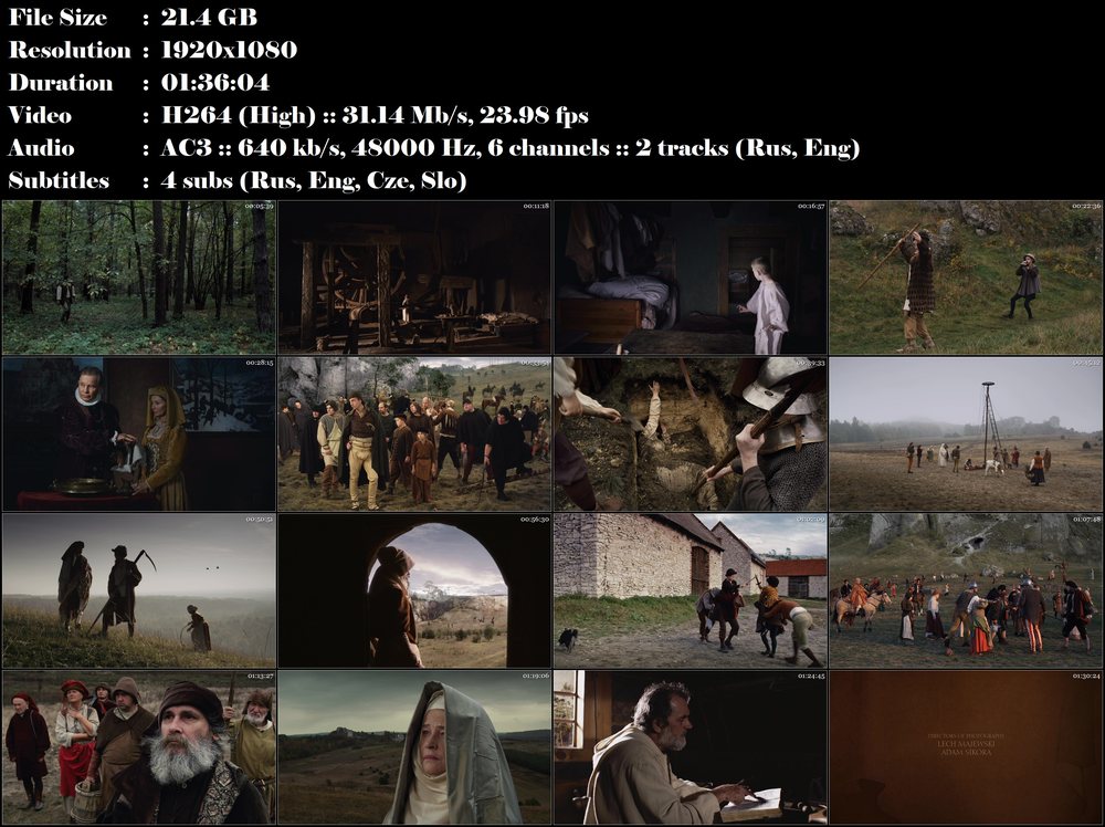 Młyn i krzyż / Mlýn a kříž  (2011)