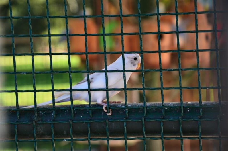 PARQUE EUROPA-2010/2015/2021-MADRID - Paseando por España-1991/2017 (171)