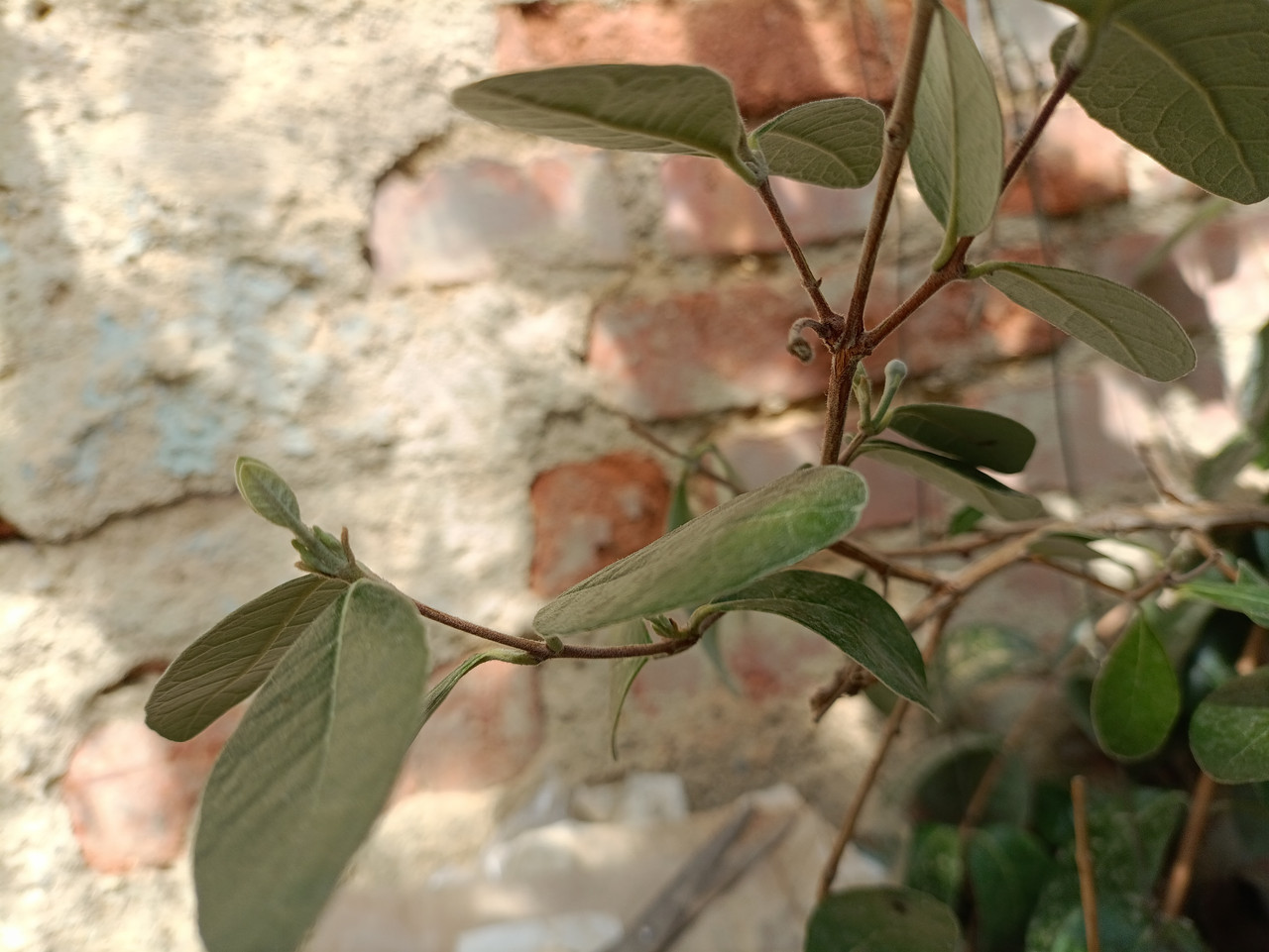 IMG 20260423 114915