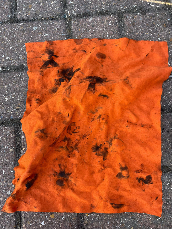 82984F73-05E6-41F1-ADA6-9D06EC35FFF1