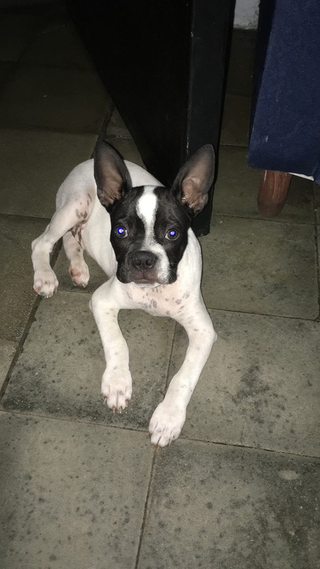 16B0C759-77FA-4E7A-BE4C-7349AD0811A4