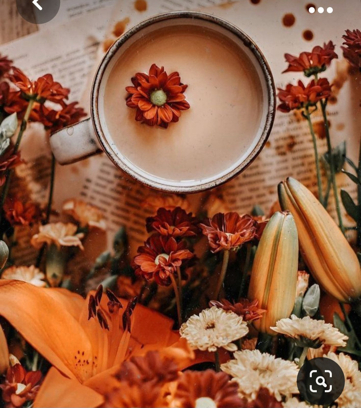 Screenshot_20231031_214340_Pinterest