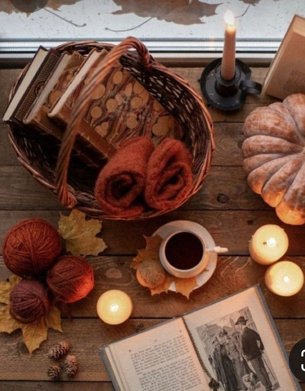 Screenshot_20230909_233651_Pinterest