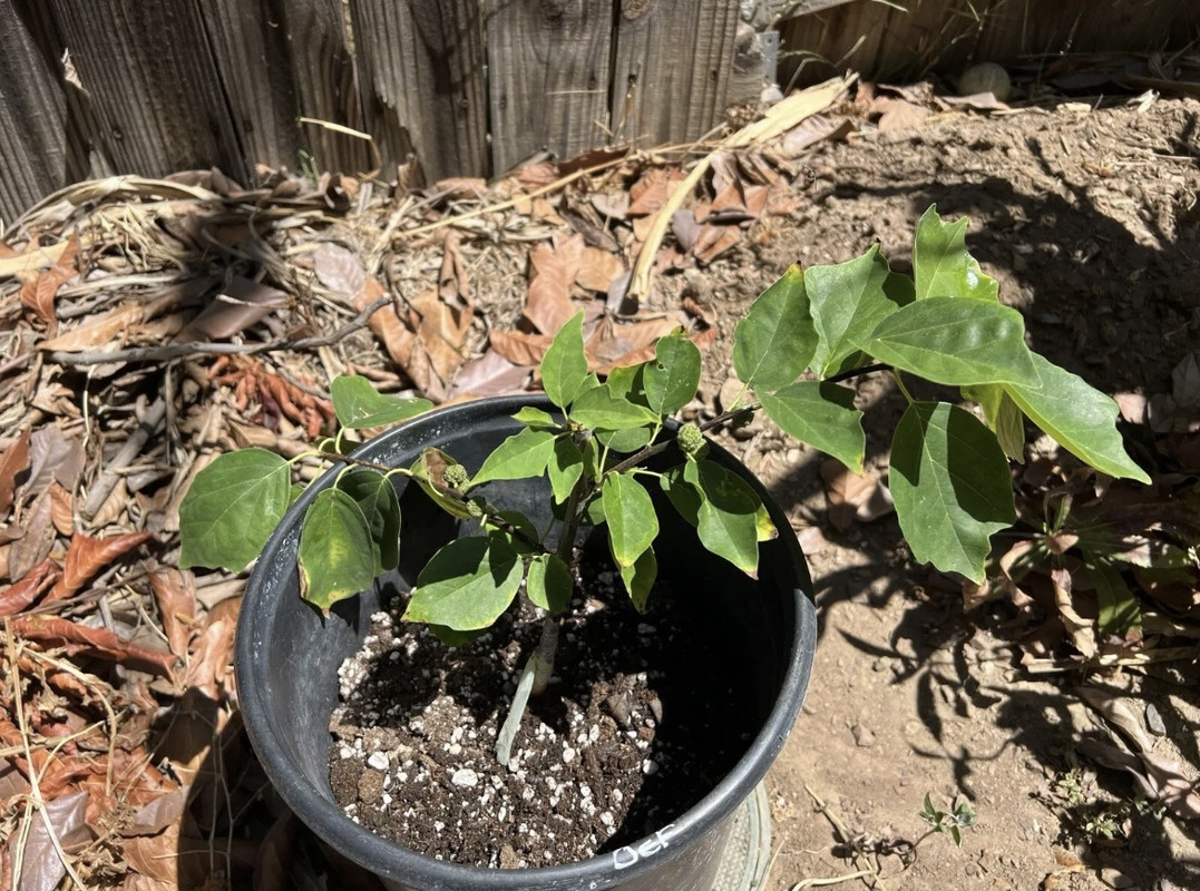 01E7DE33-3474-44E7-8F03-79AB671FA1B0