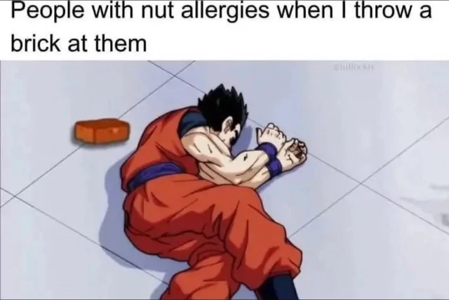 funniest-dragon-ball-memes-34.webp
