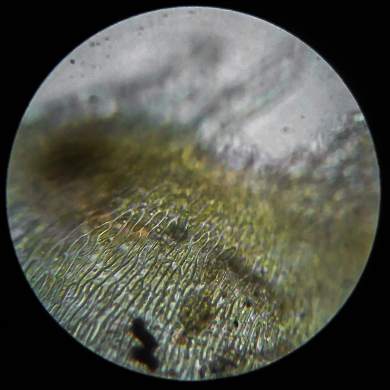 IMG 20250614 205125 HDR