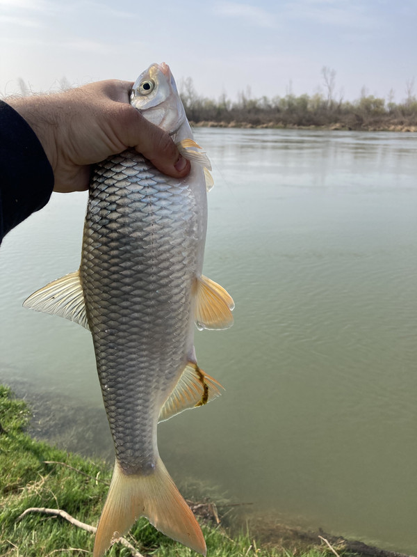 8643E6ED-EE6F-4C7E-948A-BC60C5A6C50C