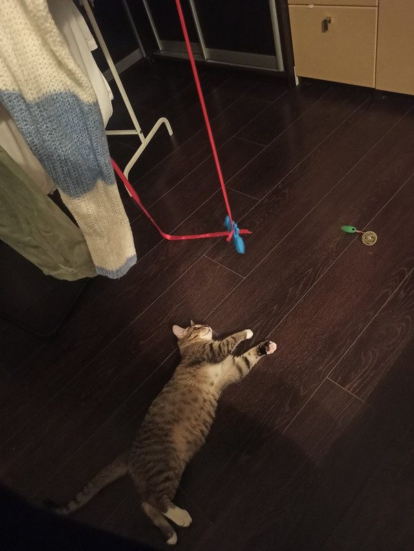 IMG-4da0afcbaa9aa753f8091df1dbff96a5-V