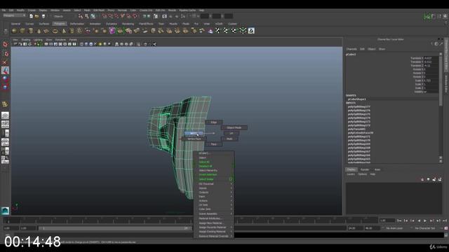 [Image: G-PMAYA-MASTER-CLASSES-Asset-Modeling-fo...mation.jpg]