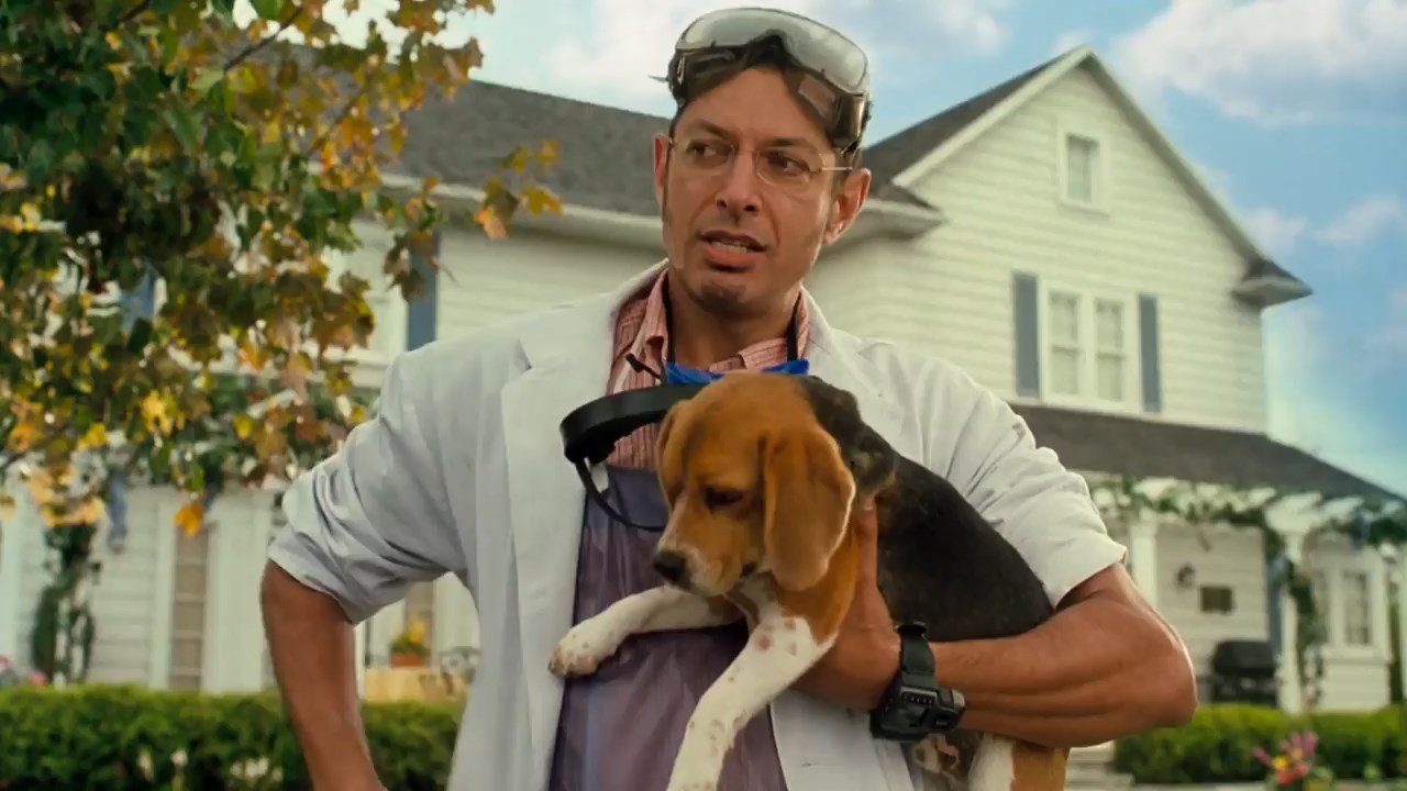Cats & Dogs 2001 BluRay [Hindi + Tamil + English] 480p 720p ESub Screenshot
