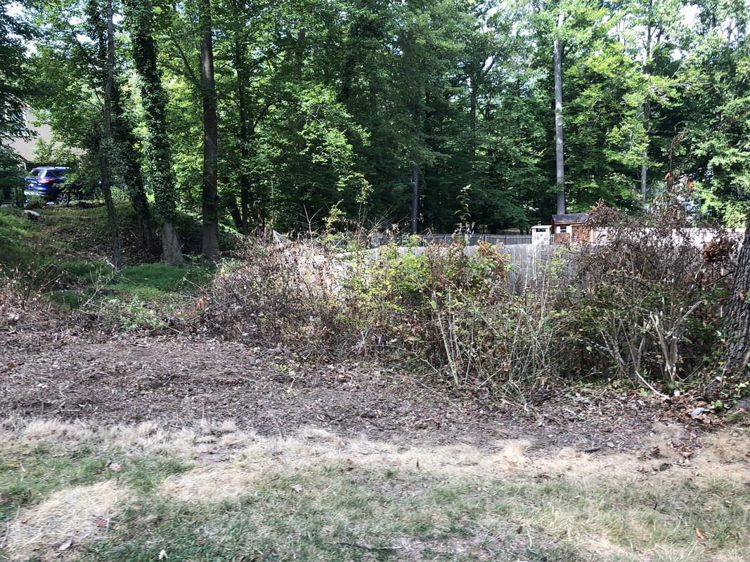 771C7BD4-FF18-4C11-8029-EE09800D9F9D