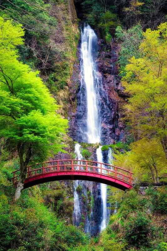 red-bridge.jpg