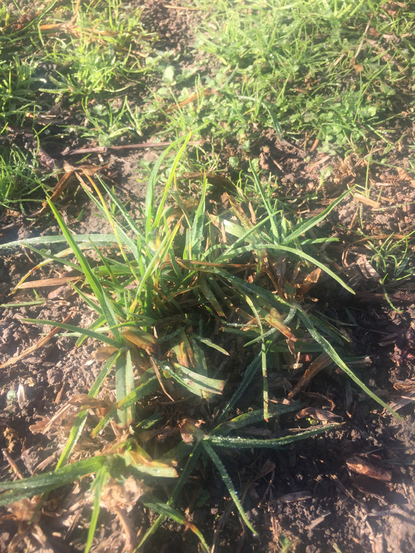 AFCF1509-7370-4E8F-9F4A-959787EAC755