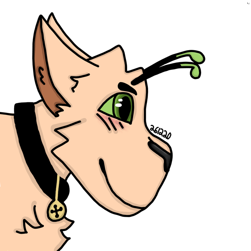 Buggy.png