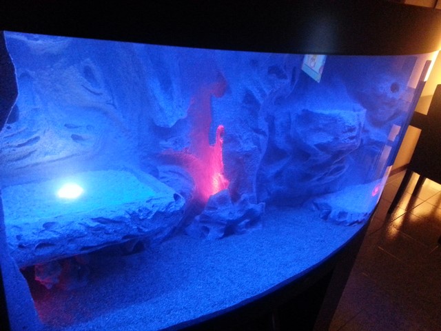 2014-03-27 19.50.05 (Copia)