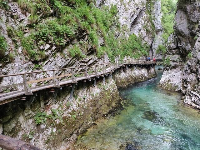 10 días por Eslovenia, Croacia y Bosnia con 3 niños. - Blogs de Europa Oriental - Lunes: Cuevas de Postoina y Skocjan  Castillo de Predjama, Vintgar y lago Bled (15)