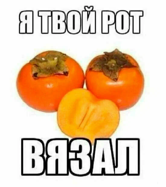 https://i.postimg.cc/NMM9DtGf/scale-2400.webp