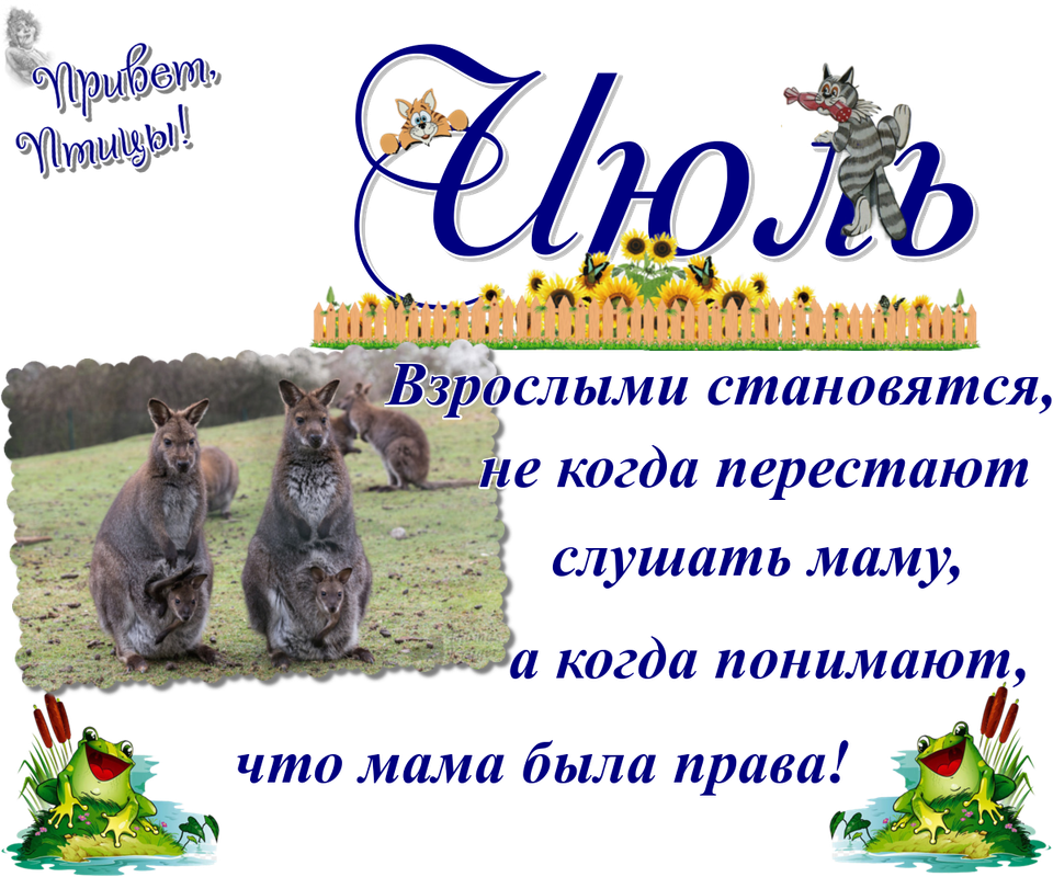 https://i.postimg.cc/NMM9X4jk/27-07.png