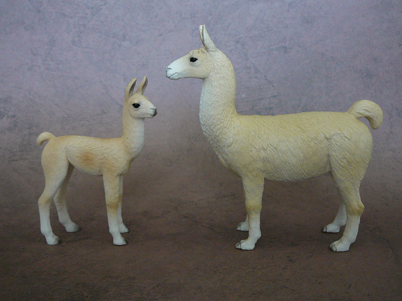 Mojö 2019 Llama and Cria- a walkaround by A.R.Garcia P1090599ed