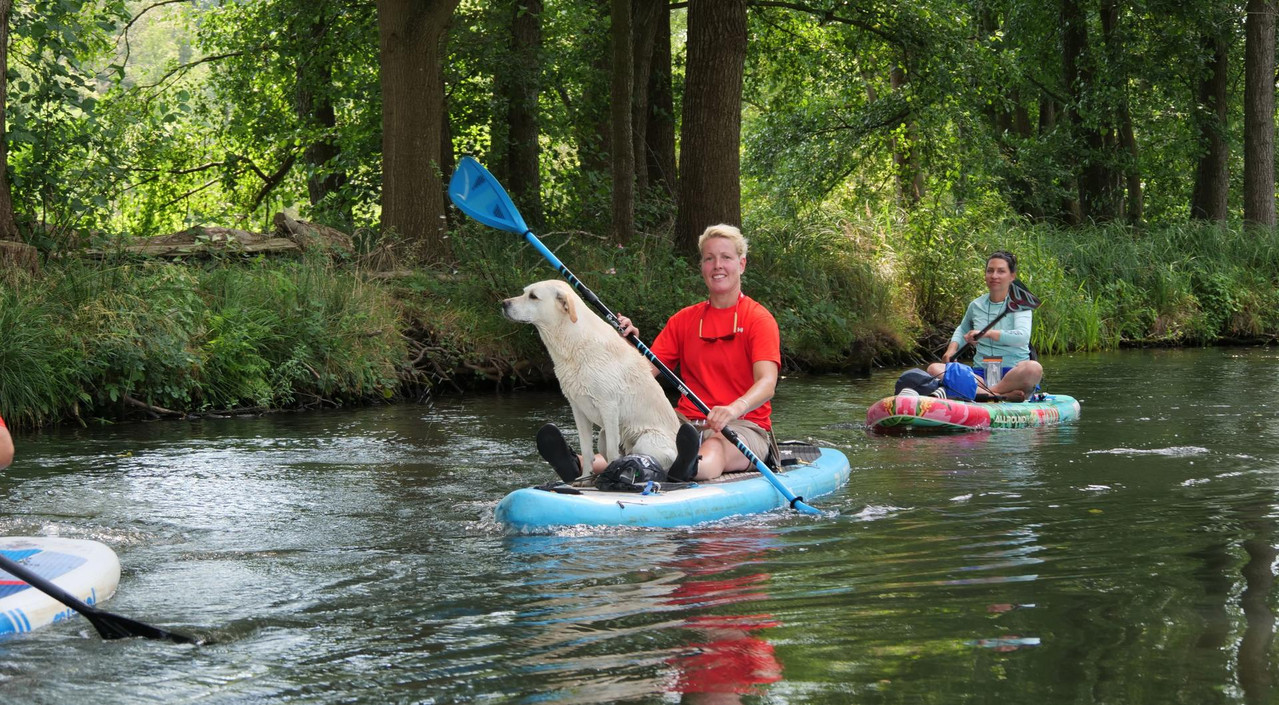 [Bild: 140824-125612b.jpg]