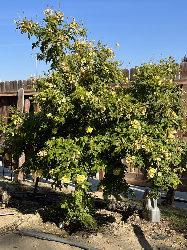 90817B5F-690E-4037-B6CF-93708219AED6